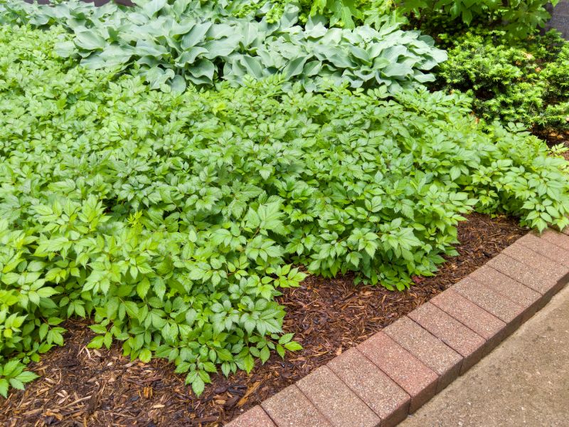 Brick Landscaping Installation in Burlington, VT