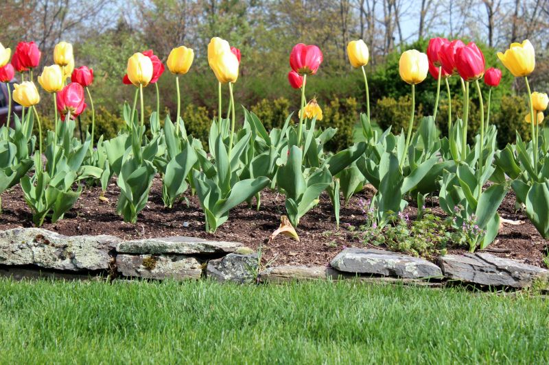 Stone Edging Installation in Burlington, VT